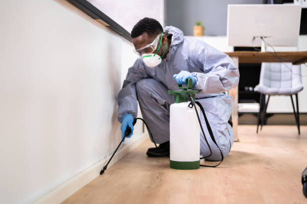 Best Indoor Pest Control  in Morehead City, NC